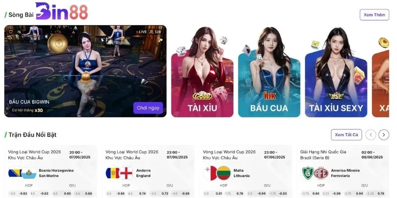 Một vài giải đáp về nhà cái cá cược BIN88 dành cho tân thủ.